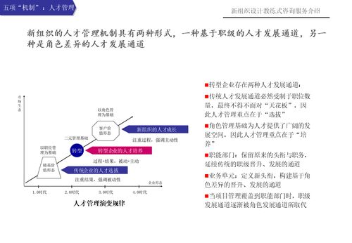 新组织设计教练式咨询服务介绍