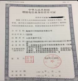 互联网信息服务 其他咨询策划